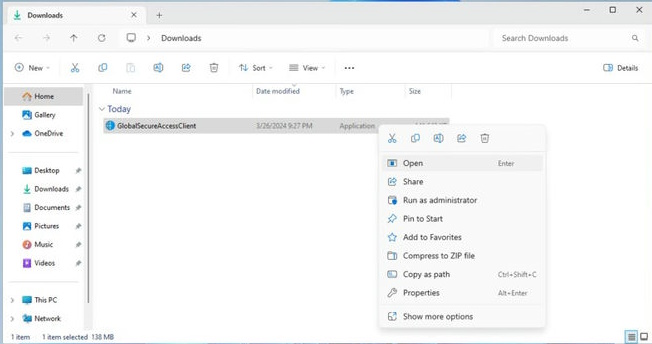 Software license terms